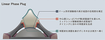 Linear Phase Plug周囲の断面