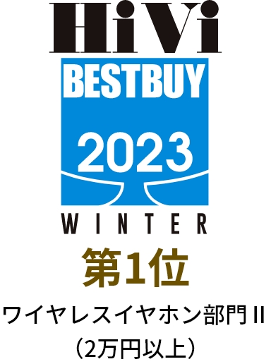 HiVi BESTBUY 2023 Winter