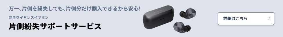 片側紛失サポートサービス