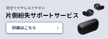 片側紛失サポートサービス