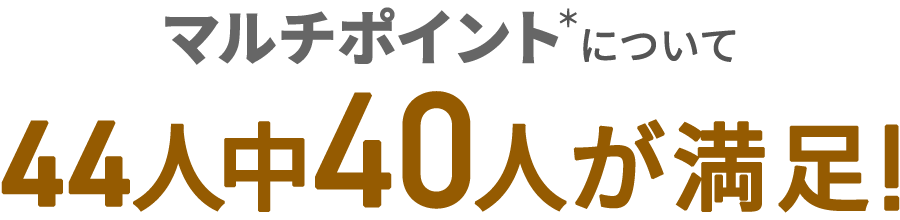 マルチポイントについて 44人中40人が満足！